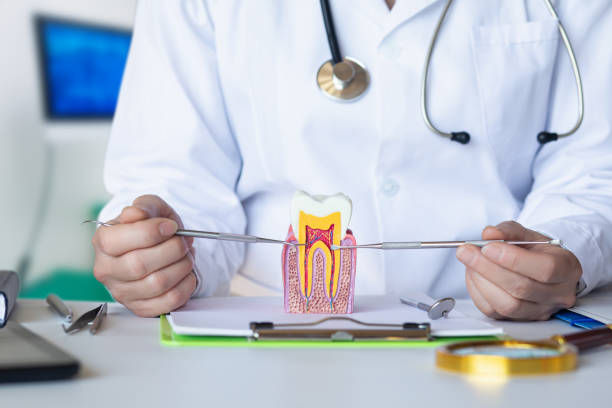 Best Broken or Cracked Tooth Emergency Dentist in Sheridan, IN
